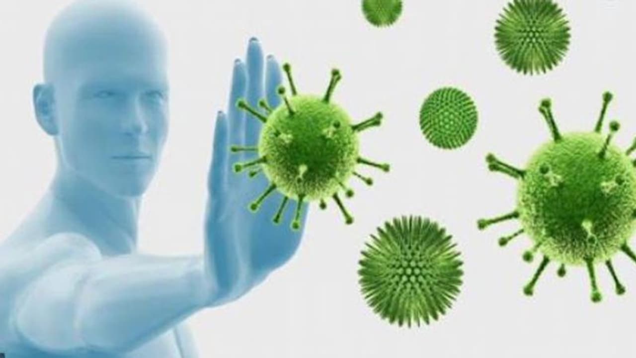 കൊവിഡ് 19; പ്രതിരോധശേഷി വർധിപ്പിക്കാൻ ശ്രദ്ധിക്കേണ്ട കാര്യങ്ങൾ കൊവിഡ് 19; പ്രതിരോധശേഷി വർധിപ്പിക്കാൻ ശ്രദ്ധിക്കേണ്ട കാര്യങ്ങൾ