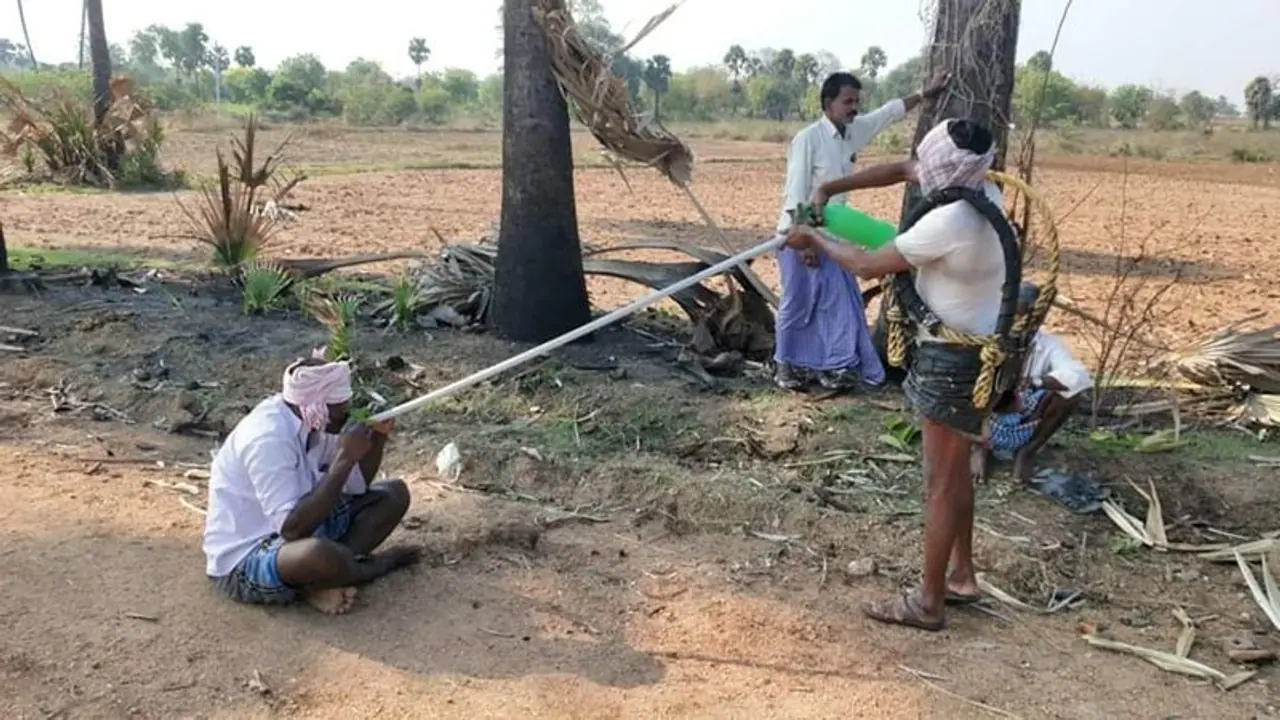 పిక్ ఆఫ్ ది డే.. కల్లుకి కరోనా భయం..దూరం బ్రదర్ పిక్ ఆఫ్ ది డే.. కల్లుకి కరోనా భయం..దూరం బ్రదర్