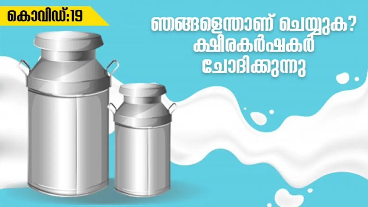 കൊവിഡ് 19: പ്രതിസന്ധിയിലായി ക്ഷീരകര്‍ഷകരും, സൗജന്യമായി പാല്‍ വിതരണം ചെയ്ത് കര്‍ഷകന്‍
