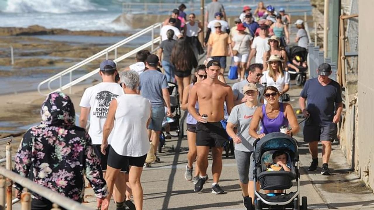 வேண்டாம் வேண்டாம் என கதறிய உலக சுகாதார நிறுவனம்..!! கேட்காமல் போய் பள்ளத்தில் விழுந்த ஜெர்மனி..!!