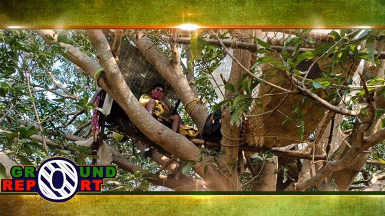 ঘরে ঢুকলে বিপদ হতে পারে, পুরুলিয়ায় গাছেই হোম কোয়রান্টিনে চেন্নাই ফেরত সাত ঘরে ঢুকলে বিপদ হতে পারে, পুরুলিয়ায় গাছেই হোম কোয়রান্টিনে চেন্নাই ফেরত সাত