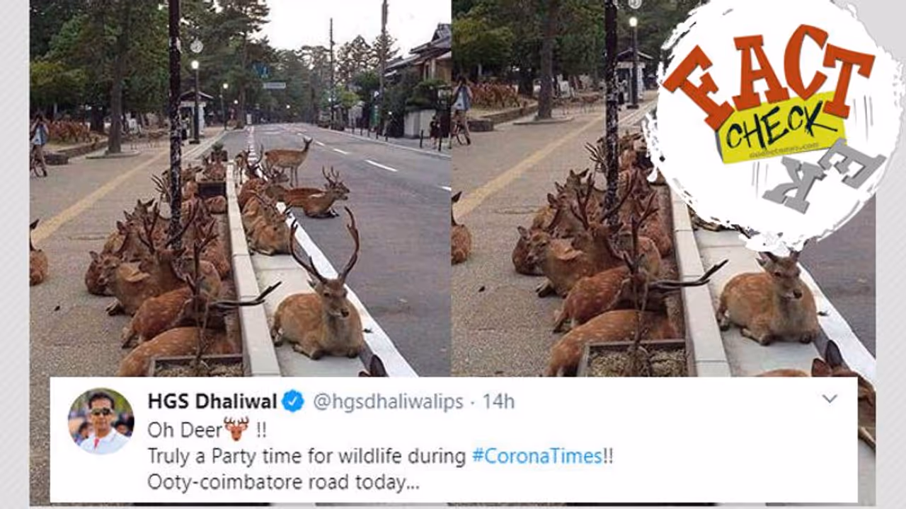 ഊട്ടി കോയമ്പത്തൂര് പാത മാനുകള് കയ്യേറിയോ? പ്രചാരണത്തിലെ സത്യം ഇതാണ് ഊട്ടി കോയമ്പത്തൂര് പാത മാനുകള് കയ്യേറിയോ? പ്രചാരണത്തിലെ സത്യം ഇതാണ്