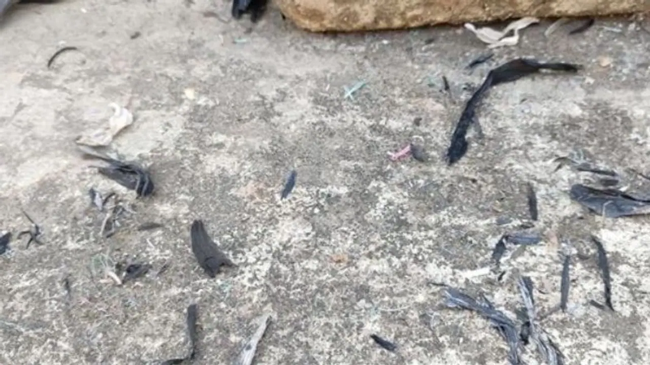 করোনায় রক্ষে নেই, এবার 'ছাইবৃষ্টি' তে আতঙ্ক ছড়াল কলকাতা লাগোয়া জেলাগুলিতে করোনায় রক্ষে নেই, এবার 'ছাইবৃষ্টি' তে আতঙ্ক ছড়াল কলকাতা লাগোয়া জেলাগুলিতে