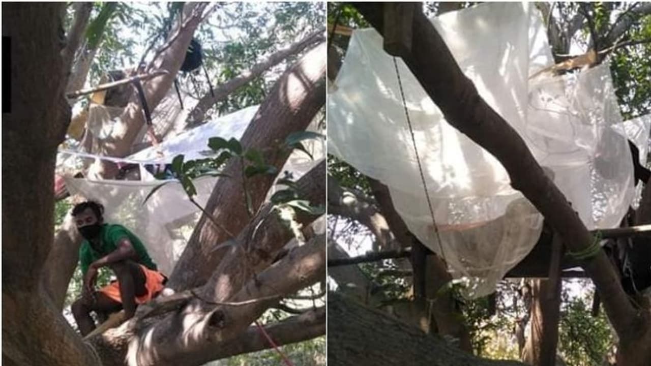 ഒറ്റമുറി വീട്ടില്‍ സൗകര്യങ്ങളില്ല; മരച്ചില്ല വീടാക്കി മാറ്റി അവര്‍ ഏഴുപേരും ക്വാറന്‍റൈനിലാണ്