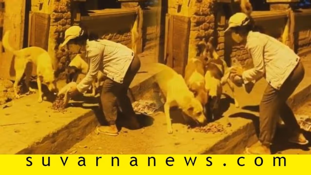 ಬೀದಿ ನಾಯಿಗಳಿಗೆ ನೆರವಾದ ಕನ್ನಡ ನಟಿ; ನೆಟ್ಟಿಗರು ಫುಲ್‌ ಫಿದಾ!