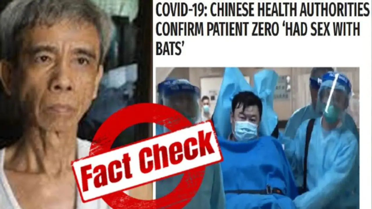 সত্যিই কি বাদুড়ের সঙ্গে সঙ্গম করেছিলেন প্রথম করোনা রোগী, জানুন আসল সত্য