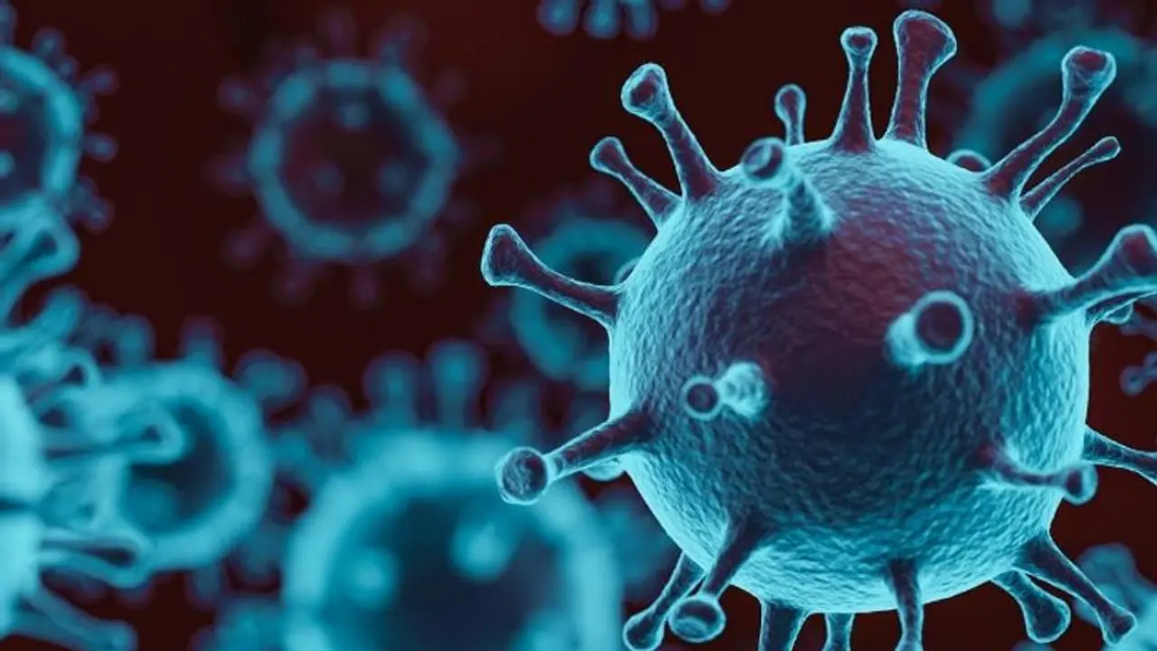 റാപ്പിഡ് ടെസ്റ്റും കൊവിഡ് 19 ടെസ്റ്റും; തമ്മിലുള്ള വ്യത്യാസം ഇതാണ്... റാപ്പിഡ് ടെസ്റ്റും കൊവിഡ് 19 ടെസ്റ്റും; തമ്മിലുള്ള വ്യത്യാസം ഇതാണ്...