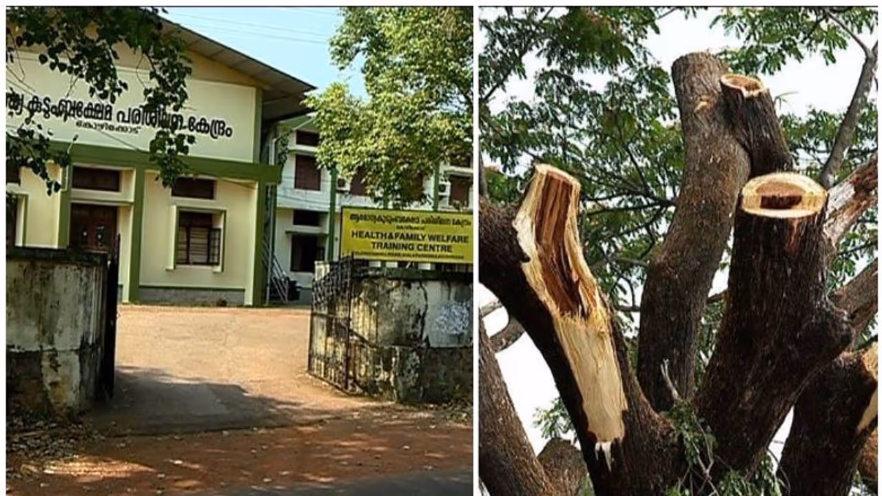 കൊവിഡിന്റെ മറവിൽ കോഴിക്കോട് ആരോഗ്യ കുടുംബക്ഷേമ പരിശീലന കേന്ദ്രത്തിൽ അനധികൃത മരംമുറി കൊവിഡിന്റെ മറവിൽ കോഴിക്കോട് ആരോഗ്യ കുടുംബക്ഷേമ പരിശീലന കേന്ദ്രത്തിൽ അനധികൃത മരംമുറി