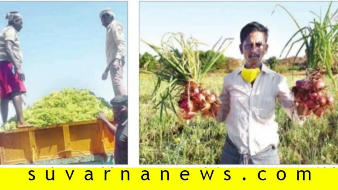 ಲಾಕ್ಡೌನ್: ರೈತರಿಗೆ ಸಂಕಷ್ಟ, ಭಾರೀ ನಷ್ಟ: ದ್ರಾಕ್ಷಿ, ಸಪೋಟಾ ತಿಪ್ಪೆಗೆ! ಲಾಕ್ಡೌನ್: ರೈತರಿಗೆ ಸಂಕಷ್ಟ, ಭಾರೀ ನಷ್ಟ: ದ್ರಾಕ್ಷಿ, ಸಪೋಟಾ ತಿಪ್ಪೆಗೆ!