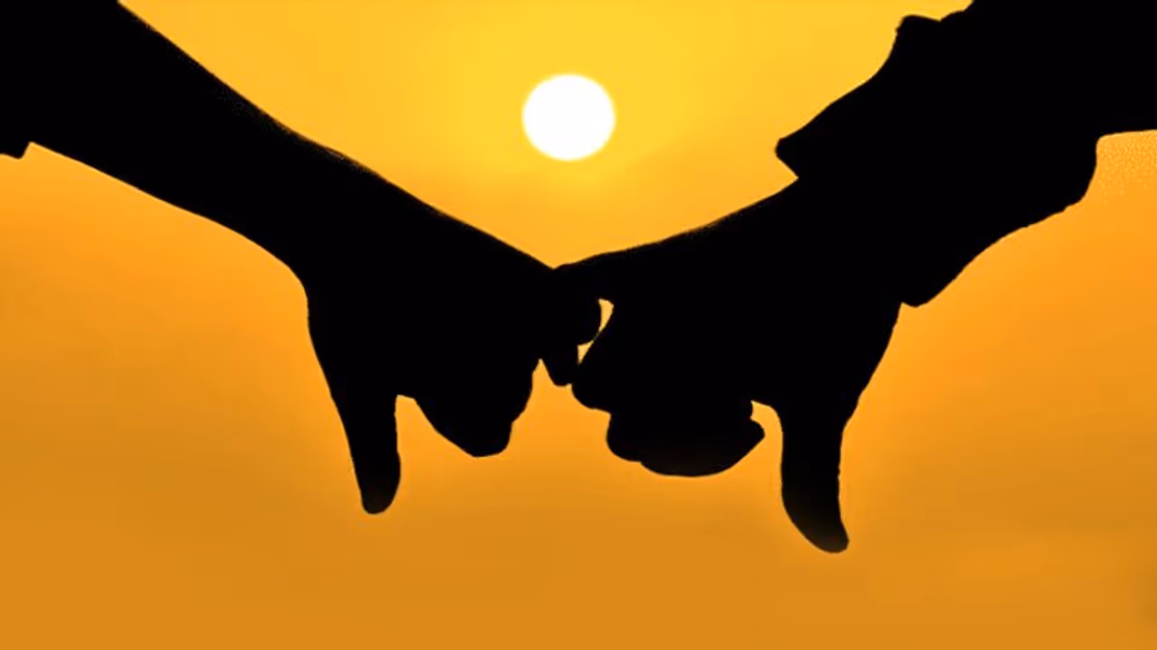 कैसा हो सकता है आपका लाइफ पार्टनर, जान सकते हैं अपनी राशि से कैसा हो सकता है आपका लाइफ पार्टनर, जान सकते हैं अपनी राशि से