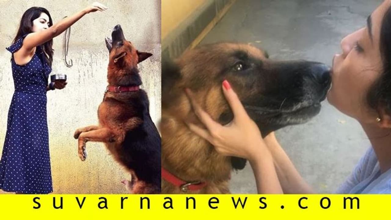 ಮುದ್ದಿನ ನಾಯಿ ಇನ್ನಿಲ್ಲ; ಡಿಪ್ರೆಶನ್‌ಗೆ ಹೋದ ನಟಿ ರಮ್ಯಾ!