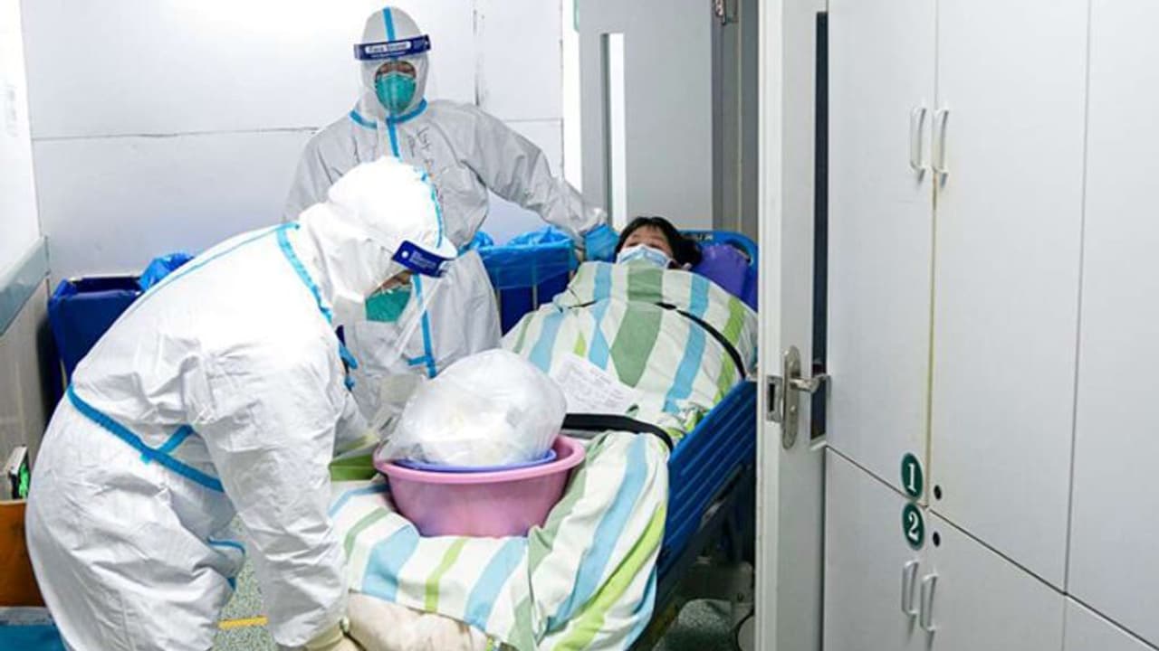 ലോകത്തിലെ ആദ്യ കൊവിഡ് 19 രോഗി വുഹാനിലെ ചെമ്മീൻ കച്ചവടക്കാരിയെന്ന് റിപ്പോർട്ട് ലോകത്തിലെ ആദ്യ കൊവിഡ് 19 രോഗി വുഹാനിലെ ചെമ്മീൻ കച്ചവടക്കാരിയെന്ന് റിപ്പോർട്ട്