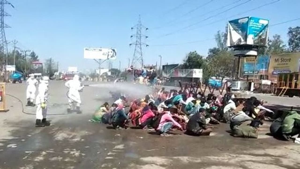 Poor Migrant Labours Sprayed By Poisonous Chemical After Being Convinced 'They Will Get Food'