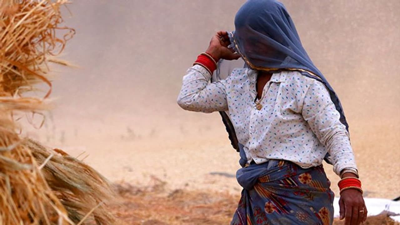 করোনাভাইরাসে আক্রান্তের সংখ্যা দেড় হাজার ছাড়িয়েছে, তাও দ্রুত পরীক্ষা বন্ধ রাখতে রাজস্থান সরকার করোনাভাইরাসে আক্রান্তের সংখ্যা দেড় হাজার ছাড়িয়েছে, তাও দ্রুত পরীক্ষা বন্ধ রাখতে রাজস্থান সরকার