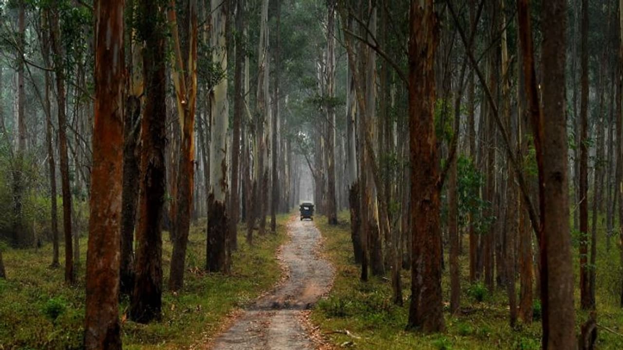 സംസ്ഥാനത്തെ ഇക്കോ ടൂറിസം കേന്ദ്രങ്ങൾ അനിശ്ചിത കാലത്തേക്ക് അടച്ചു