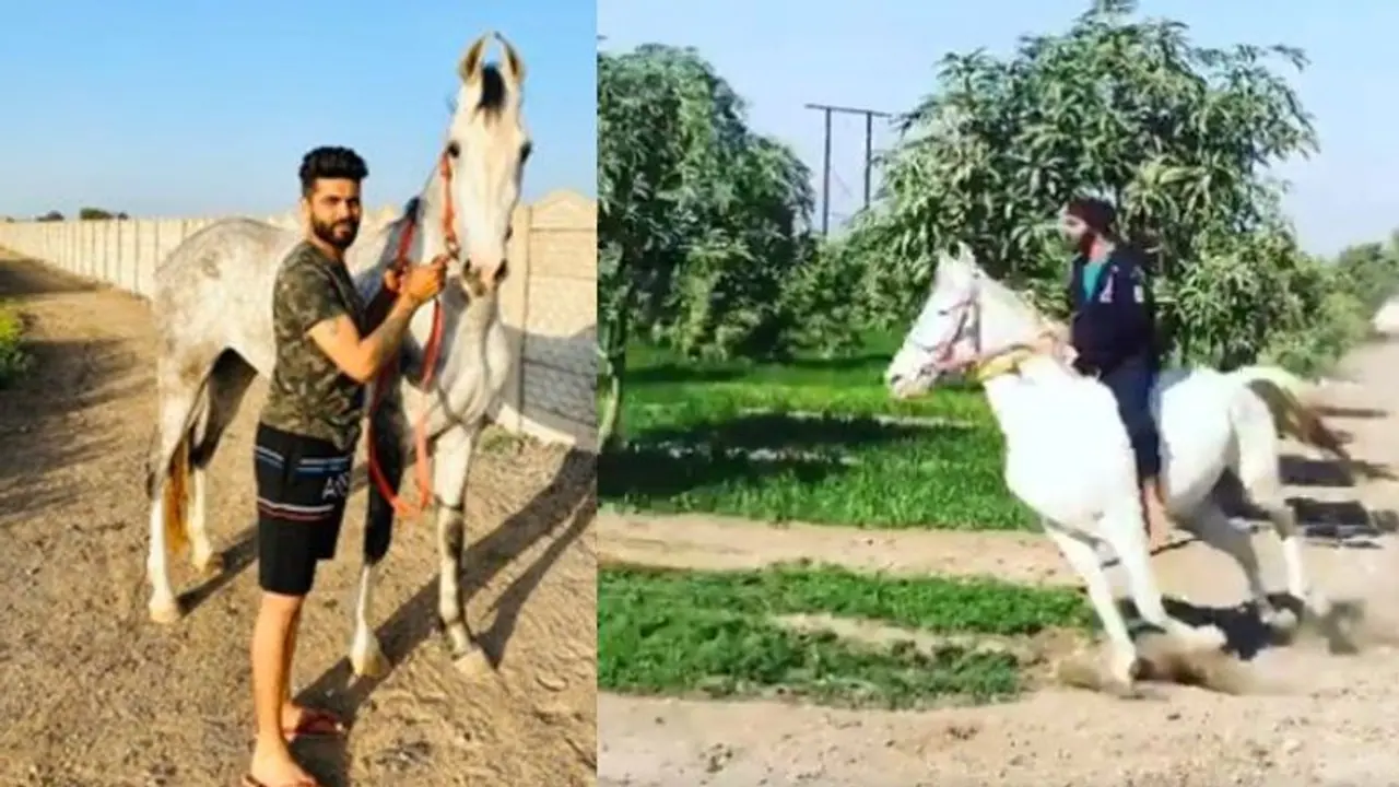 Coronavirus lockdown: Ravindra Jadeja turns horse rider; spends time with his ‘favourites’ (Video) Coronavirus lockdown: Ravindra Jadeja turns horse rider; spends time with his ‘favourites’ (Video)