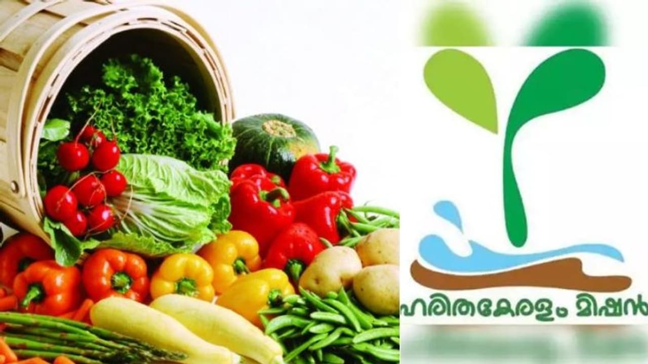 ലോക്ക് ഡൗൺ കാലത്ത് പച്ചക്കറികൃഷി; പ്രോത്സാഹനവുമായി ഹരിതകേരളം മിഷന് ലോക്ക് ഡൗൺ കാലത്ത് പച്ചക്കറികൃഷി; പ്രോത്സാഹനവുമായി ഹരിതകേരളം മിഷന്