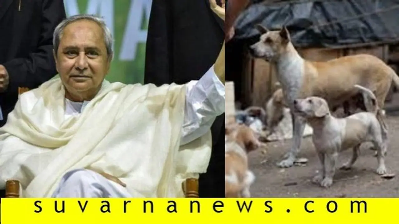 COVID19: ಬೀದಿಪ್ರಾಣಿಗಳ ಹೊಟ್ಟೆ ತುಂಬಿಸಲು 54 ಲಕ್ಷ ಬಿಡುಗಡೆ..! COVID19: ಬೀದಿಪ್ರಾಣಿಗಳ ಹೊಟ್ಟೆ ತುಂಬಿಸಲು 54 ಲಕ್ಷ ಬಿಡುಗಡೆ..!