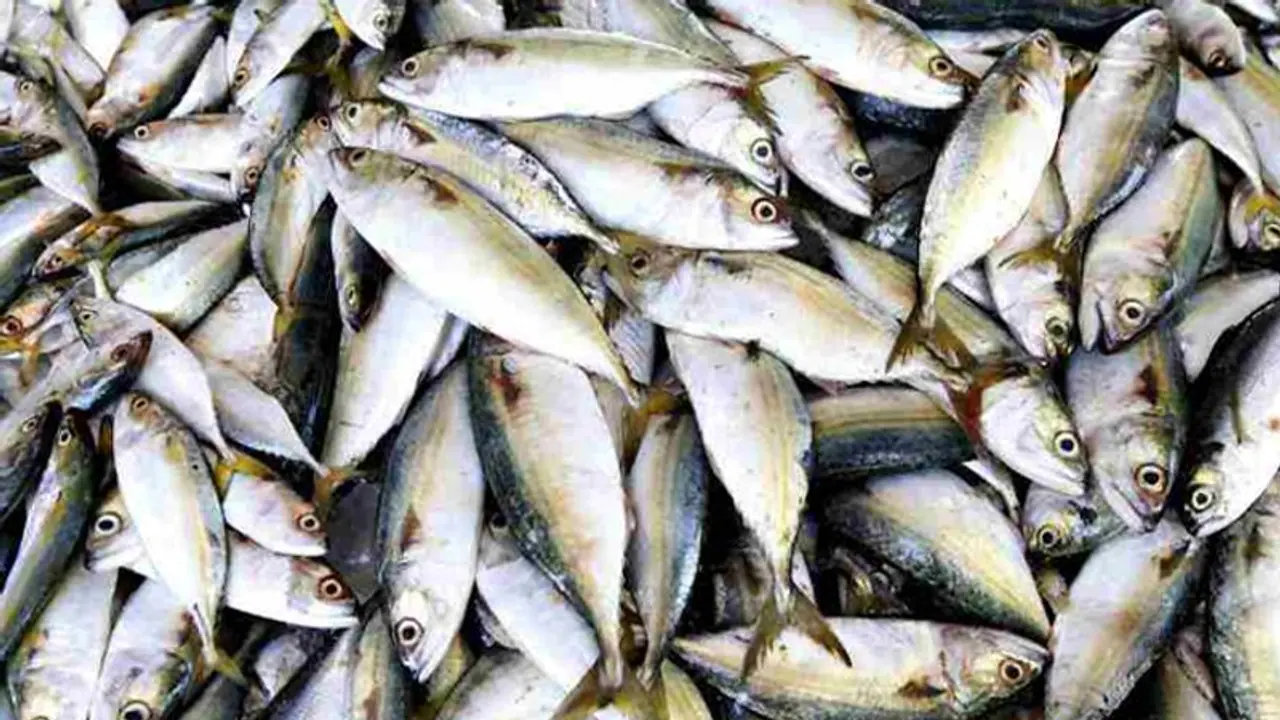 കൊവിഡ് 19 ; മീൻ വാങ്ങുമ്പോൾ സൂക്ഷിക്കണേ... കൊവിഡ് 19 ; മീൻ വാങ്ങുമ്പോൾ സൂക്ഷിക്കണേ...