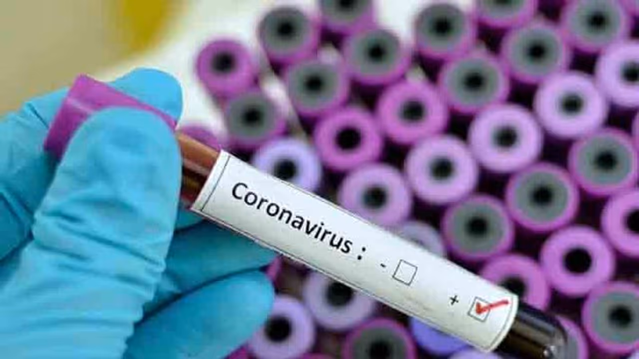 கொரோனாவின் கோரப்பிடியில் இந்தியா... பாதிக்கப்பட்டவர்களின் எண்ணிக்கை மளமளவென உயர்வால் திணறல்..? கொரோனாவின் கோரப்பிடியில் இந்தியா... பாதிக்கப்பட்டவர்களின் எண்ணிக்கை மளமளவென உயர்வால் திணறல்..?