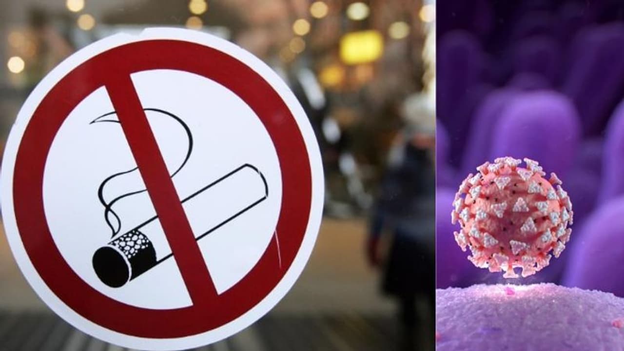പുകവലിയും കൊവിഡും തമ്മിലുള്ള ബന്ധം... പുകവലിയും കൊവിഡും തമ്മിലുള്ള ബന്ധം...