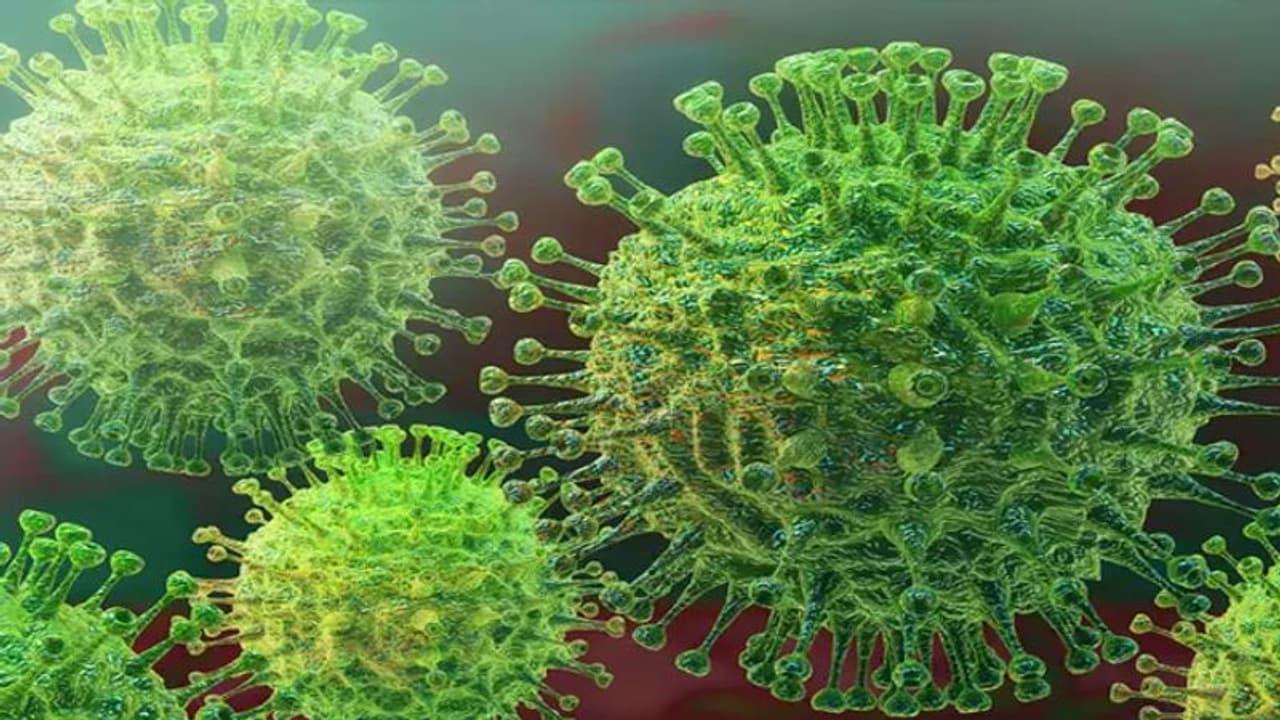 ఏపీలో కరోనా విలయతాండవం: ఒక్కరోజే 67 కేసులు, మొత్తం 111 ఏపీలో కరోనా విలయతాండవం: ఒక్కరోజే 67 కేసులు, మొత్తం 111