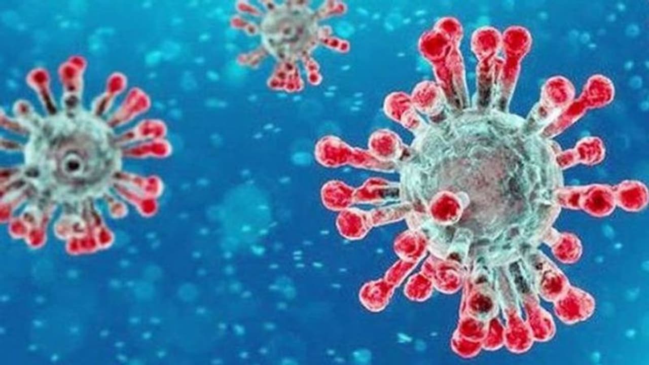 அம்மா சொன்ன வார்த்தை வலிக்கிறது..! புரியவைத்த கொரோனாவிற்கு நன்றி சொன்ன பிரபலம்! அம்மா சொன்ன வார்த்தை வலிக்கிறது..! புரியவைத்த கொரோனாவிற்கு நன்றி சொன்ன பிரபலம்!