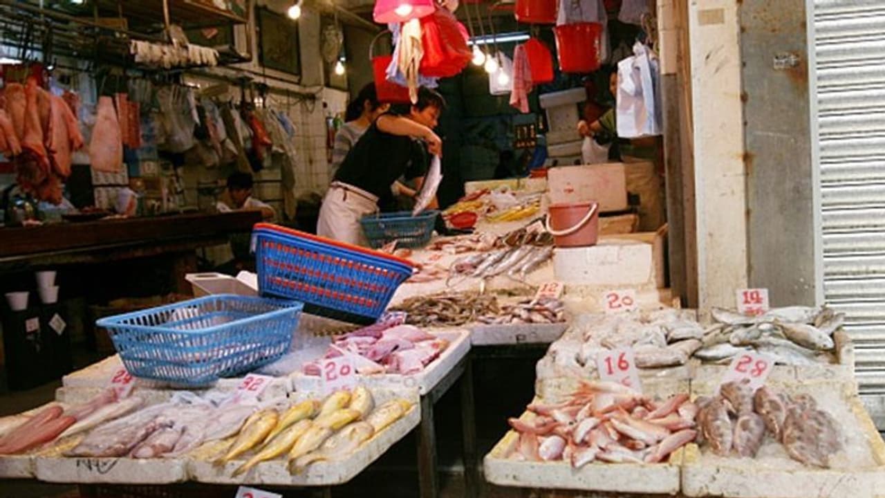 করোনা আতঙ্কের মধ্যেই বাদুড় বিক্রির সিদ্ধান্ত চিনের, ভয়ঙ্কর পরিণতি আশঙ্কা বিজ্ঞানীদের