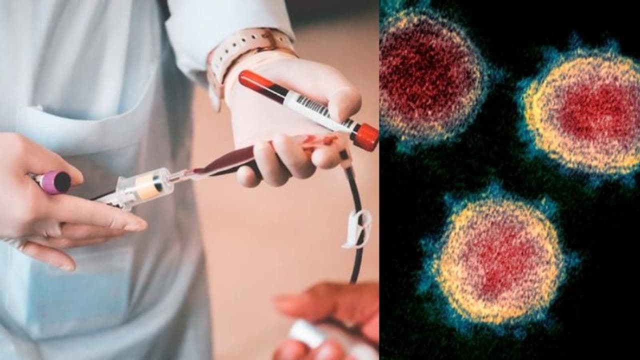 കൊവിഡ് പൂര്‍ണമായും സുഖപ്പെട്ടവരുടെ രക്തം മറ്റുള്ളവര്‍ക്ക് രോഗം വരാതിരിക്കാന്‍ സഹായിക്കുമോ?