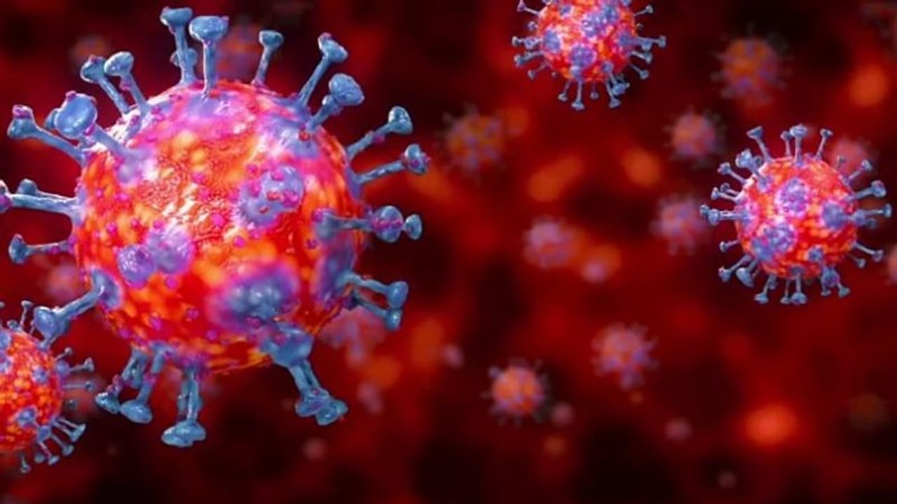 കൊറോണ വൈറസ് വായുവില് ഏറെനേരം തങ്ങിനിൽക്കുമെന്ന് പഠനം കൊറോണ വൈറസ് വായുവില് ഏറെനേരം തങ്ങിനിൽക്കുമെന്ന് പഠനം