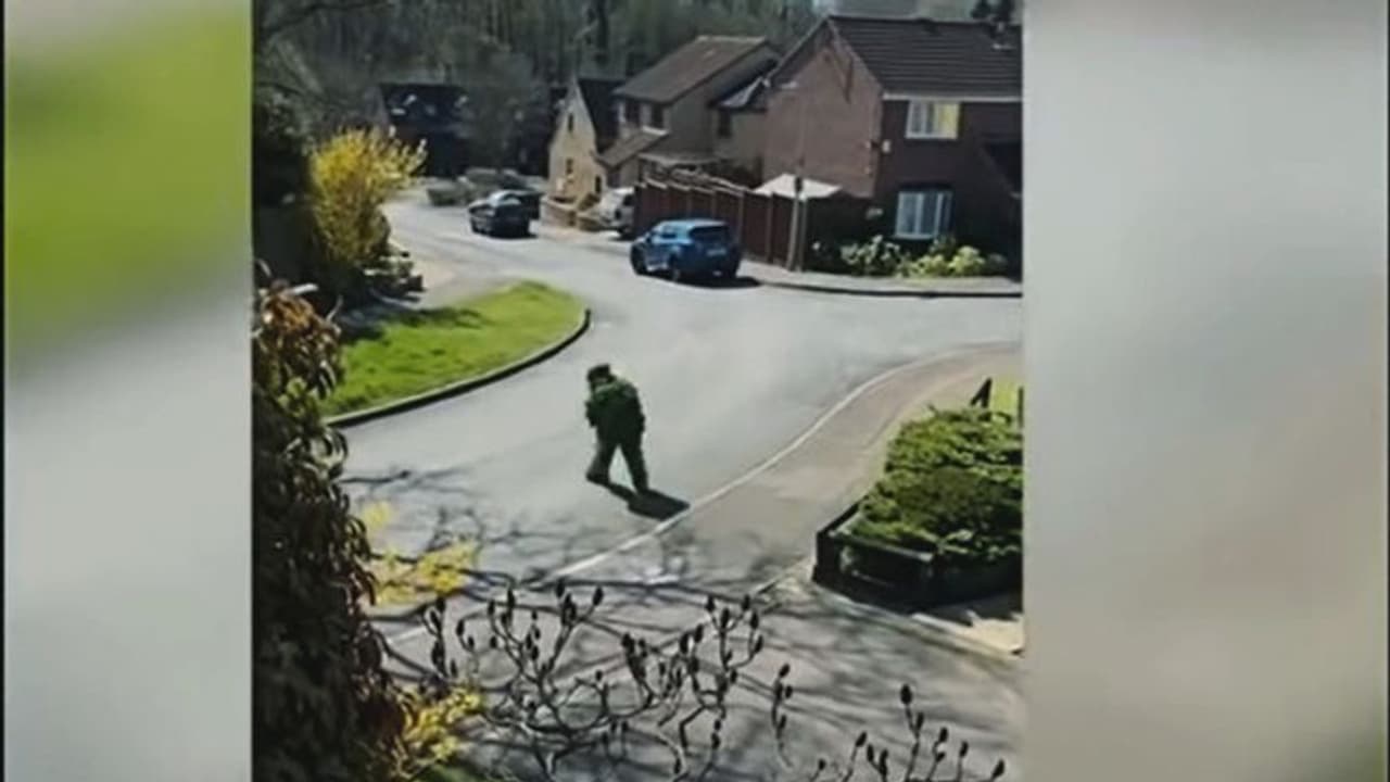 লকডাউনের ফাঁকা রাস্তায় দু'পায়ে হেঁটে বেড়াচ্ছে একটি গাছ, ভাইরাল হল ভিডিও, দেখুন লকডাউনের ফাঁকা রাস্তায় দু'পায়ে হেঁটে বেড়াচ্ছে একটি গাছ, ভাইরাল হল ভিডিও, দেখুন