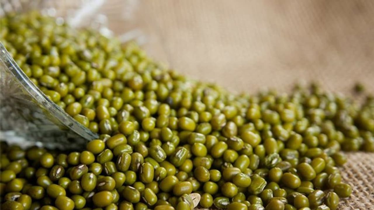 ലോക്ക് ഡൗൺ കൃഷിപാഠങ്ങൾ: ചെറുപയറിലെ പുതിയ ഇനങ്ങള് പരീക്ഷിക്കാം, മികച്ച വിളവ് നേടാം ലോക്ക് ഡൗൺ കൃഷിപാഠങ്ങൾ: ചെറുപയറിലെ പുതിയ ഇനങ്ങള് പരീക്ഷിക്കാം, മികച്ച വിളവ് നേടാം