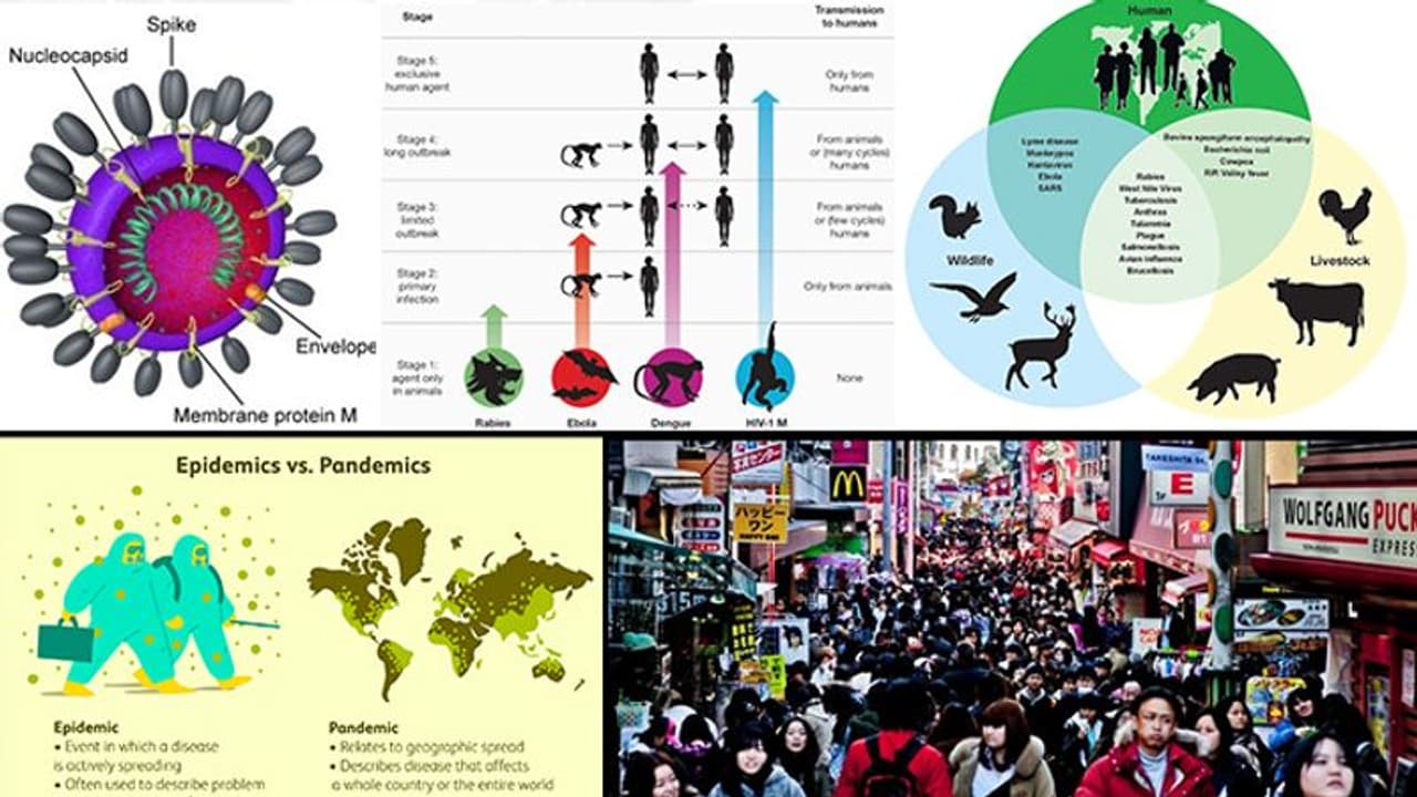 Coronavirus: Population explosion, human animal interface associated with pandemics