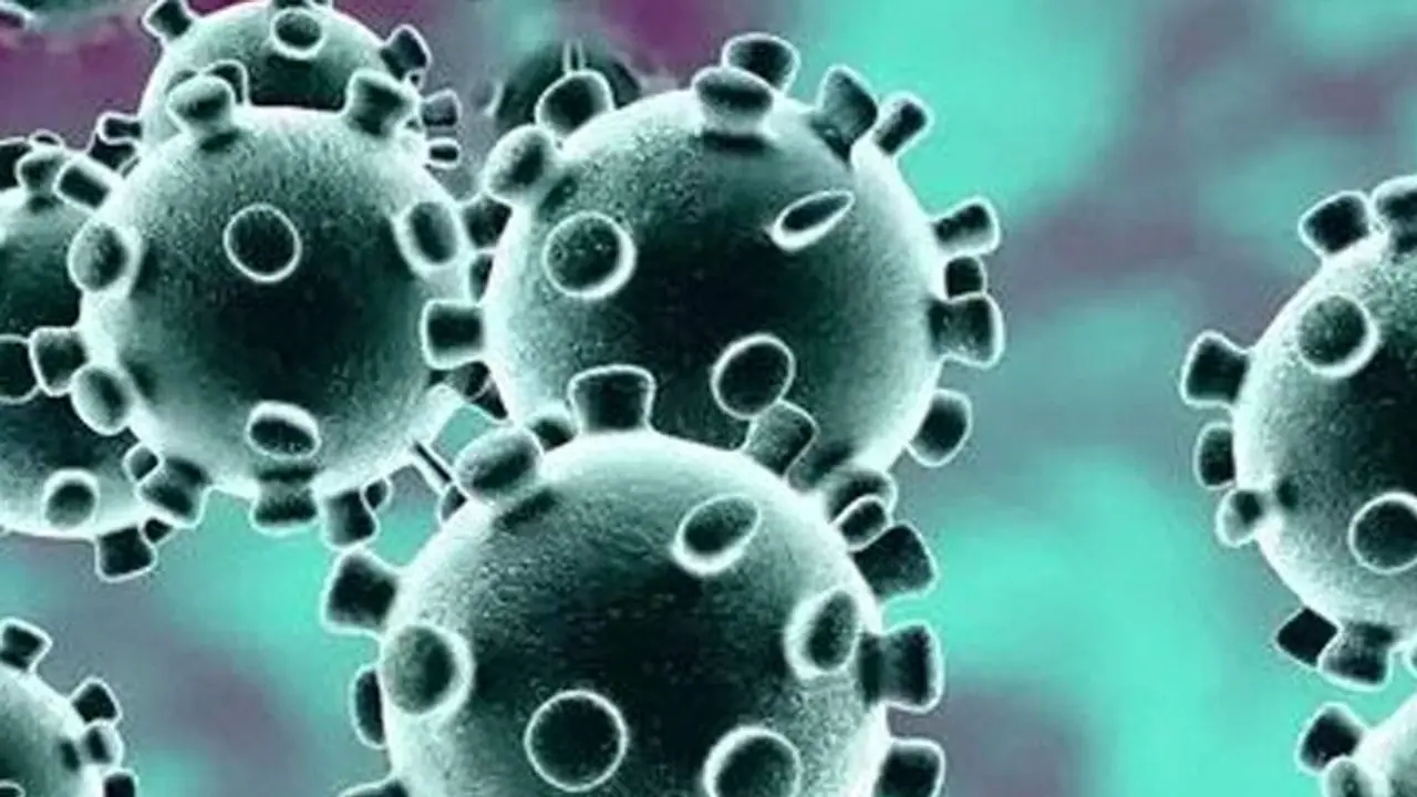 കൊവിഡ് കാലത്തെ അതിജീവിക്കാന് സര്ക്കാരിനൊപ്പം കലാകാരന്മാരും; കേരളാമാതൃകയ്ക്ക് പിന്തുണതേടി ലളിതകലാ അക്കാദമി കൊവിഡ് കാലത്തെ അതിജീവിക്കാന് സര്ക്കാരിനൊപ്പം കലാകാരന്മാരും; കേരളാമാതൃകയ്ക്ക് പിന്തുണതേടി ലളിതകലാ അക്കാദമി