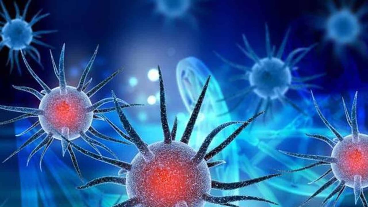 കൊവിഡ് ബാധിതന്റെ മകൻ വിലക്ക് ലംഘിച്ചു; 2000 ആളുമായി സമ്പര്ക്കം, കീഴാറ്റൂരിൽ ജനകീയ സര്വെ കൊവിഡ് ബാധിതന്റെ മകൻ വിലക്ക് ലംഘിച്ചു; 2000 ആളുമായി സമ്പര്ക്കം, കീഴാറ്റൂരിൽ ജനകീയ സര്വെ