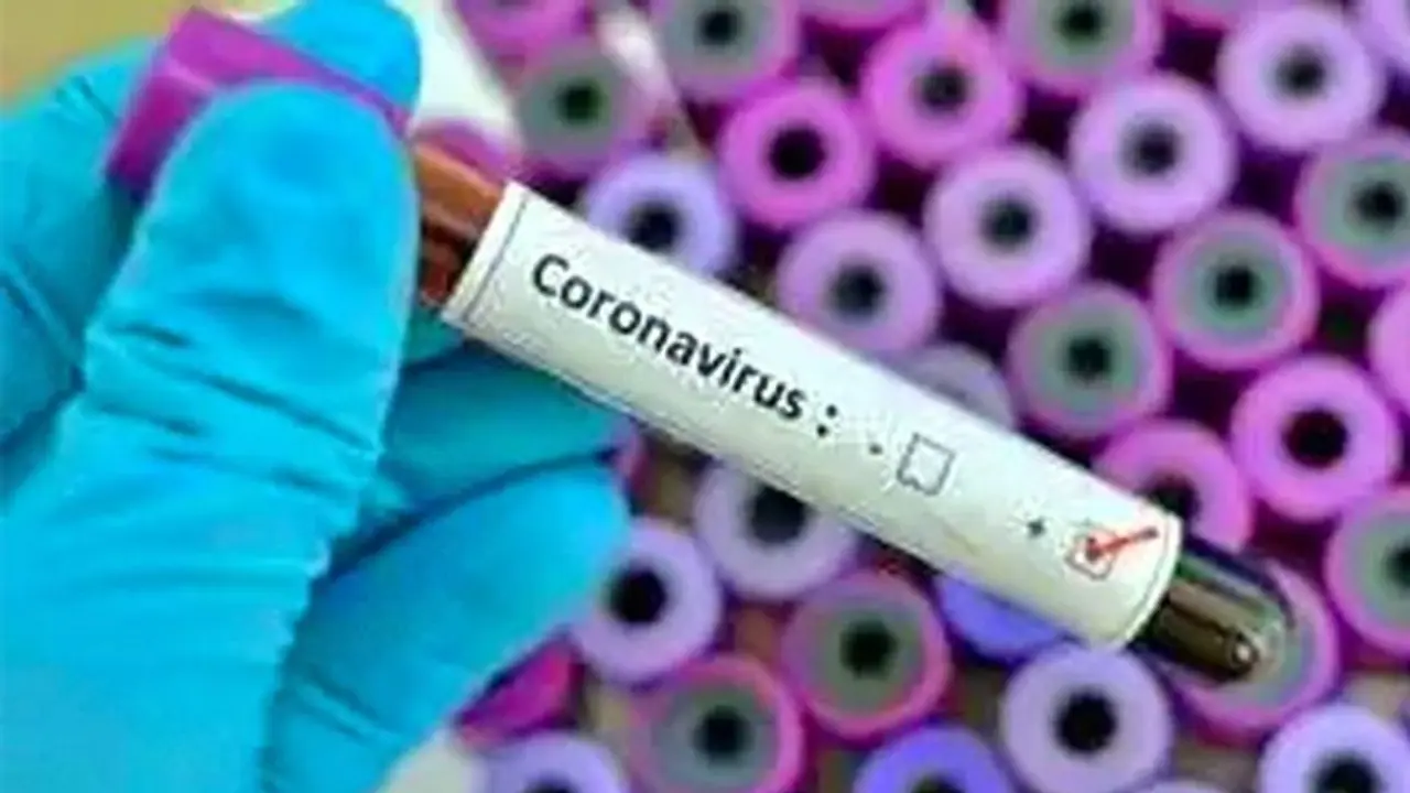 ಲಾಂಡ್ರಿ ಮಾಲೀಕನಿಂದ 54000 ಜನರಿಗೆ ಕೊರೋನಾ ಭೀತಿ! ಲಾಂಡ್ರಿ ಮಾಲೀಕನಿಂದ 54000 ಜನರಿಗೆ ಕೊರೋನಾ ಭೀತಿ!