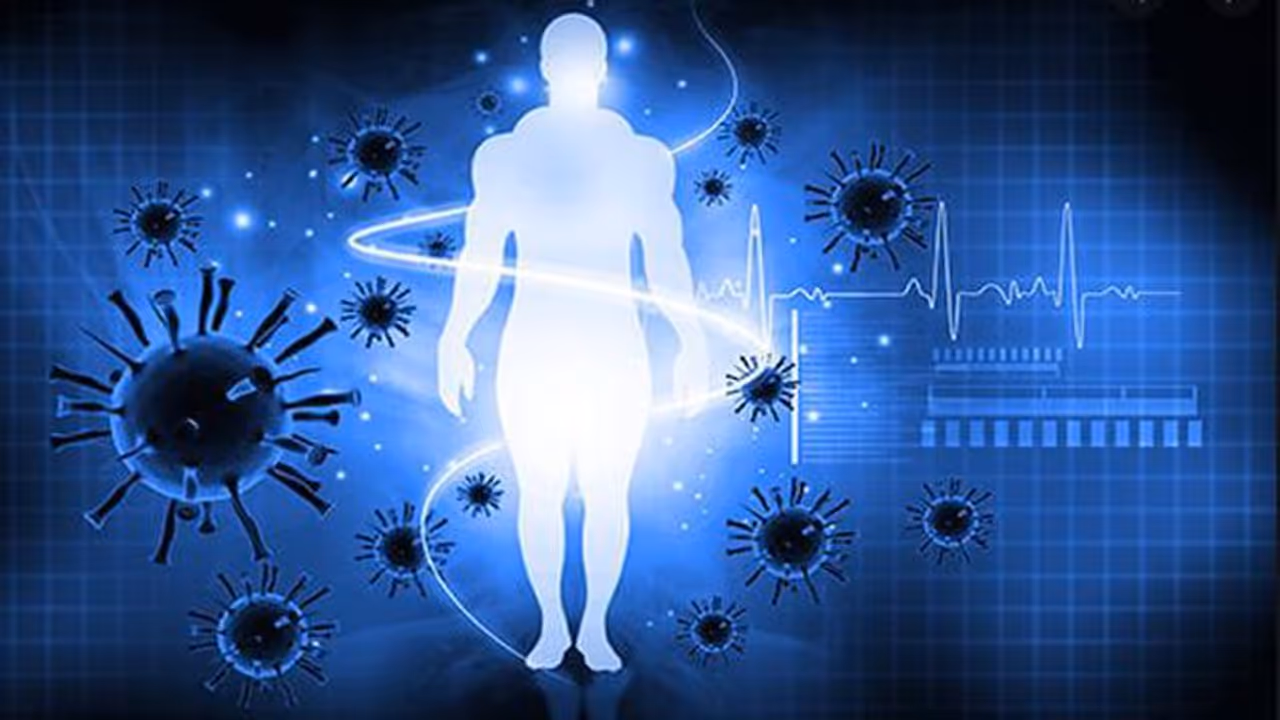 ഈ കൊറോണ കാലത്ത് പ്രതിരോധശേഷി വർധിപ്പിക്കാൻ ശ്രദ്ധിക്കേണ്ട നാല് കാര്യങ്ങൾ ഈ കൊറോണ കാലത്ത് പ്രതിരോധശേഷി വർധിപ്പിക്കാൻ ശ്രദ്ധിക്കേണ്ട നാല് കാര്യങ്ങൾ