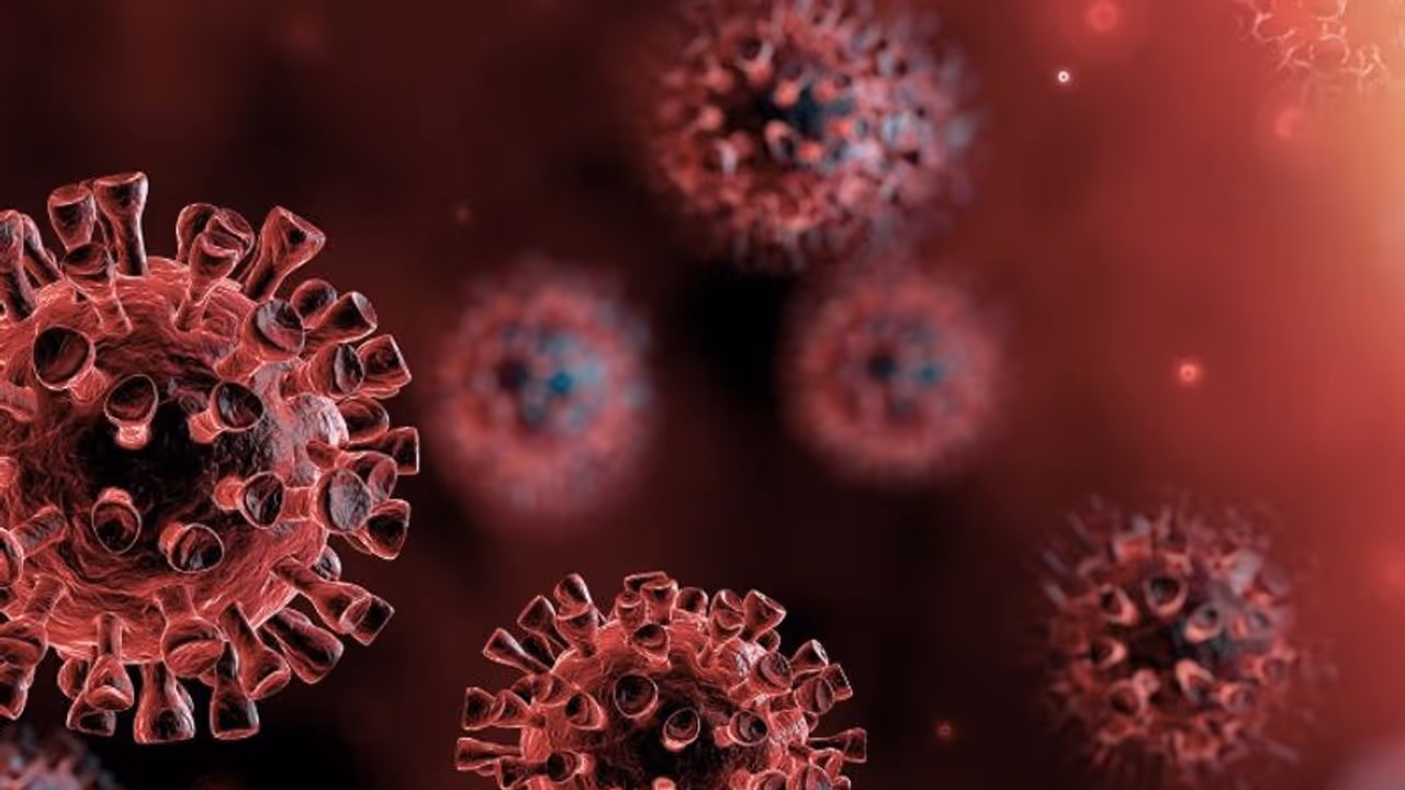 കൊറോണ വൈറസ് വര്‍ഷങ്ങള്‍ക്ക് മുന്‍പേ മനുഷ്യനിലെത്തി: പഠനം പറയുന്നത് ഇങ്ങനെ...