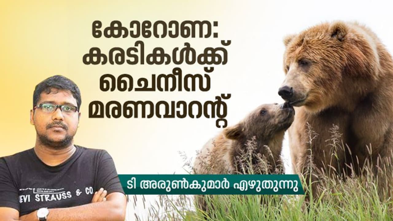 കൊറോണ: കരടികള്ക്ക് ചൈനീസ് മരണവാറന്റ് കൊറോണ: കരടികള്ക്ക് ചൈനീസ് മരണവാറന്റ്