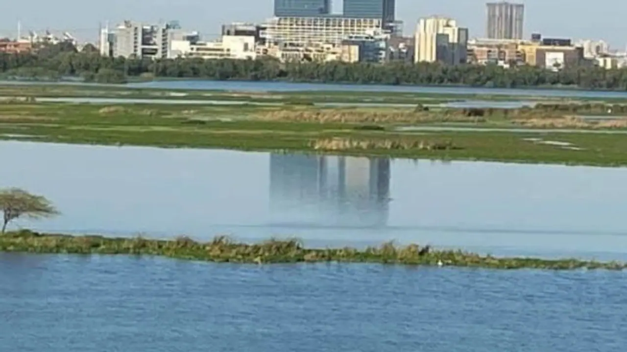 শুধু গঙ্গা নয়, লকডাউনের কারণে রঙ বদলাচ্ছে দিল্লি সংলগ্ন যমুনা শুধু গঙ্গা নয়, লকডাউনের কারণে রঙ বদলাচ্ছে দিল্লি সংলগ্ন যমুনা