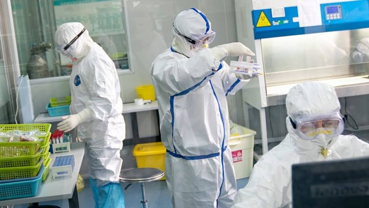 2,50000 பேர் கொரோனாவில் இருந்து குணமடைந்தனர்..!! உலக மக்களுக்கு பிறந்தது புதிய நம்பிக்கை..!! 2,50000 பேர் கொரோனாவில் இருந்து குணமடைந்தனர்..!! உலக மக்களுக்கு பிறந்தது புதிய நம்பிக்கை..!!