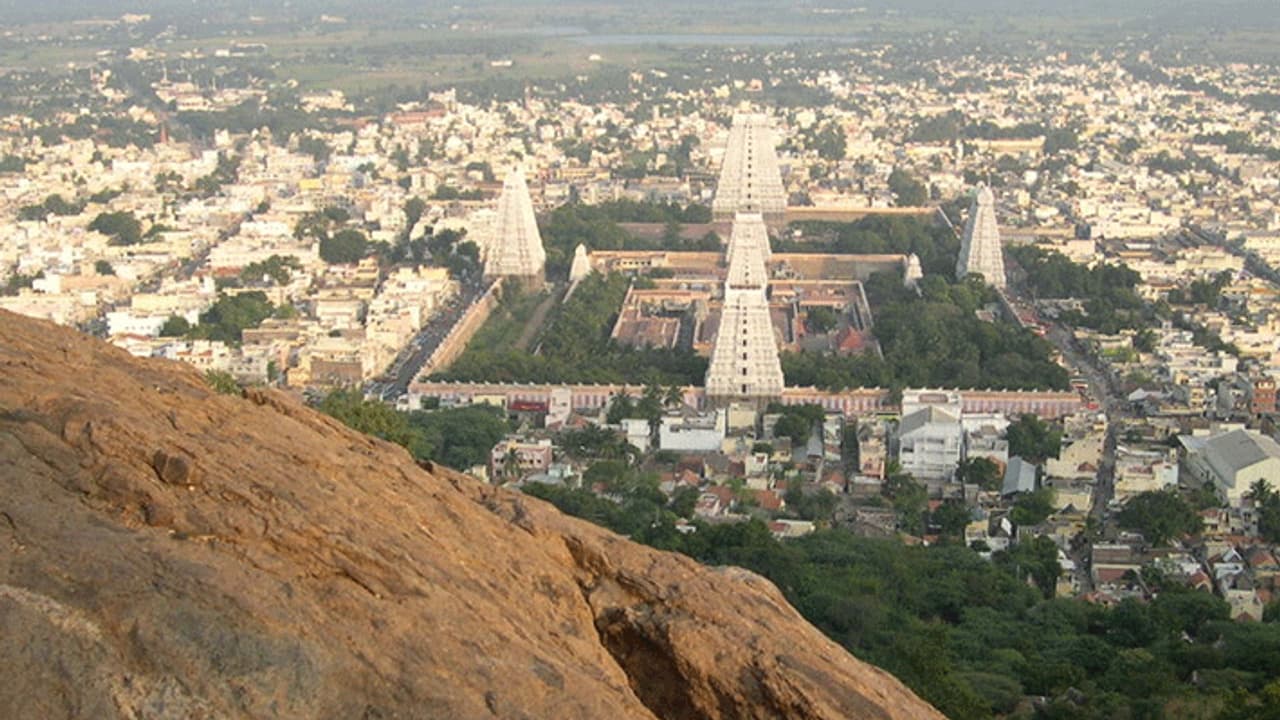 Tiruvannamalai: அண்ணாமலையார் கோயிலுக்கு செல்வோர் கவனத்திற்கு.. அதிரடி அறிவிப்பை வெளியிட்ட தி.மலை ஆட்சியர்..! Tiruvannamalai: அண்ணாமலையார் கோயிலுக்கு செல்வோர் கவனத்திற்கு.. அதிரடி அறிவிப்பை வெளியிட்ட தி.மலை ஆட்சியர்..!