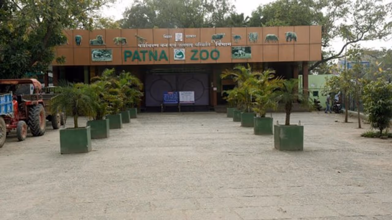 Coronavirus: Zoos in India put on high alert after tiger tests positive for COVID 19 in US Coronavirus: Zoos in India put on high alert after tiger tests positive for COVID 19 in US