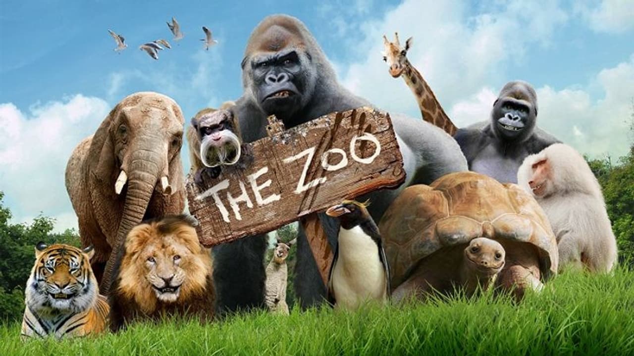 ಪ್ರಾಣಿಗಳಿಗೂ ಅಂಟಿದ ಮಹಾಮಾರಿ ಕೊರೋನಾ: ಭಾರತದಲ್ಲಿ ಹೈಅಲರ್ಟ್