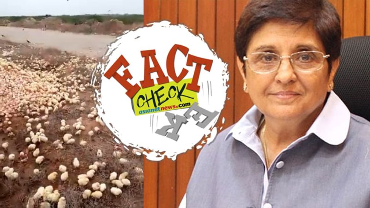 'റോഡരികില്‍ ഉപേക്ഷിച്ച മുട്ടകള്‍ വിരിഞ്ഞു'; കിരണ്‍ ബേദി ഷെയർ ചെയ്ത വൈറല്‍ വീഡിയോ സത്യമോ