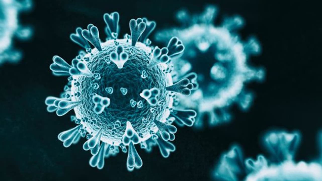 ഭോപ്പാലിൽ ദൃശ്യമാധ്യമ പ്രവർത്തകന് കൊവിഡ് ഭോപ്പാലിൽ ദൃശ്യമാധ്യമ പ്രവർത്തകന് കൊവിഡ്