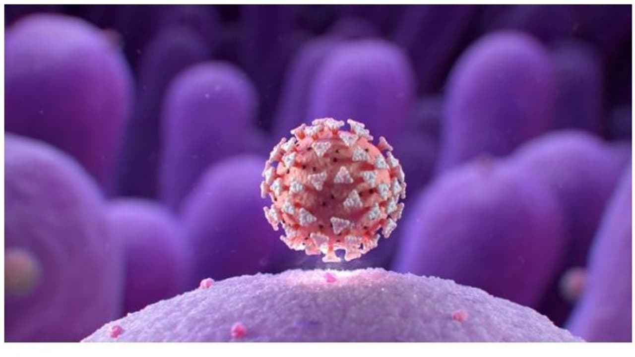 തബ് ലീഗ് സമ്മേളനത്തിൽ പങ്കെടുത്ത ഇന്തോനേഷ്യൻ പൗരന്മാർക്കെതിരെ കേസെടുത്തു തബ് ലീഗ് സമ്മേളനത്തിൽ പങ്കെടുത്ത ഇന്തോനേഷ്യൻ പൗരന്മാർക്കെതിരെ കേസെടുത്തു