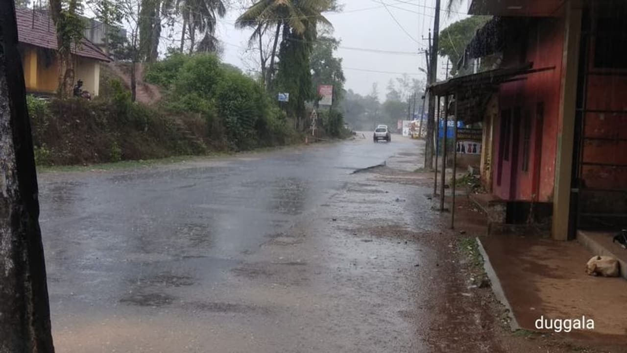 ಕೊಡಗಿನ 11500 ಹೆಕ್ಟೇರ್‌ ಭೂಮಿ ಅರಣ್ಯ ಇಲಾಖೆಯದ್ದೆಂದು ಆದೇಶ : ಹಲವರಿಗೆ ಸಂಕಷ್ಟ