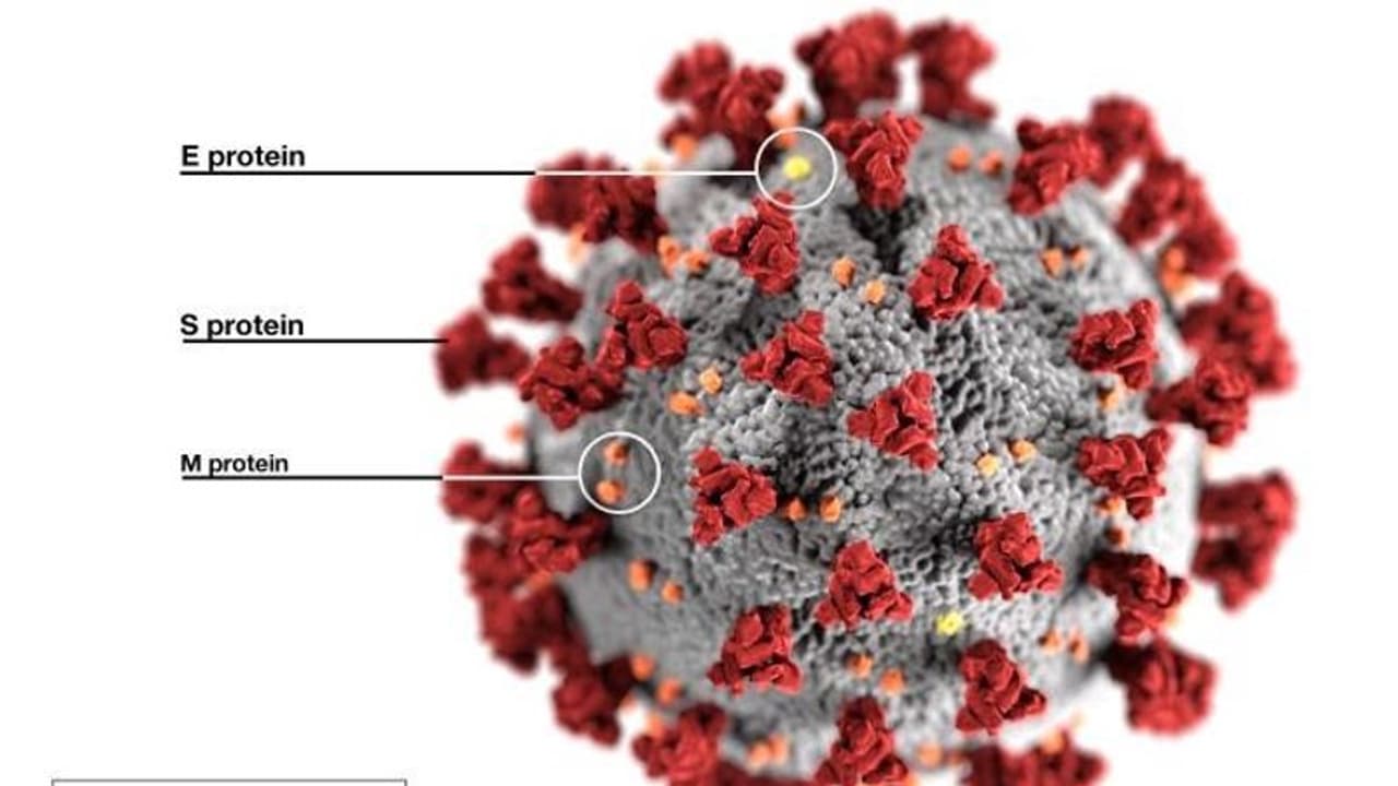 Lancet study: ఒమిక్రాన్ కంటే డెల్టా వేరియంట్ తోనే దీర్ఘకాలిక ప్రభావమెక్కువ..: లాన్సెట్ Lancet study: ఒమిక్రాన్ కంటే డెల్టా వేరియంట్ తోనే దీర్ఘకాలిక ప్రభావమెక్కువ..: లాన్సెట్