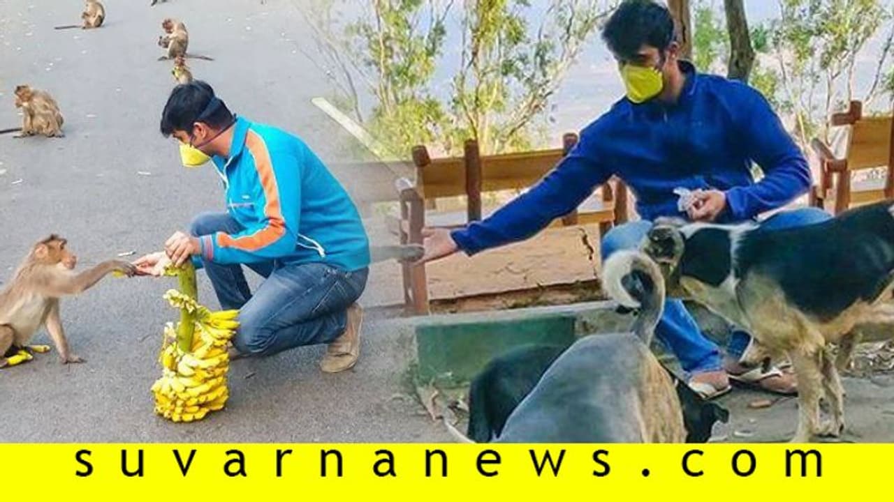 ಹಸಿದ ಕೋತಿಗೆ ಹಣ್ಣು ನೀಡಿ 'ಲಕ್ಷ್ಮೀ ಬಾರಮ್ಮಾ' ಚಂದು ಮಾನವೀಯತೆ!